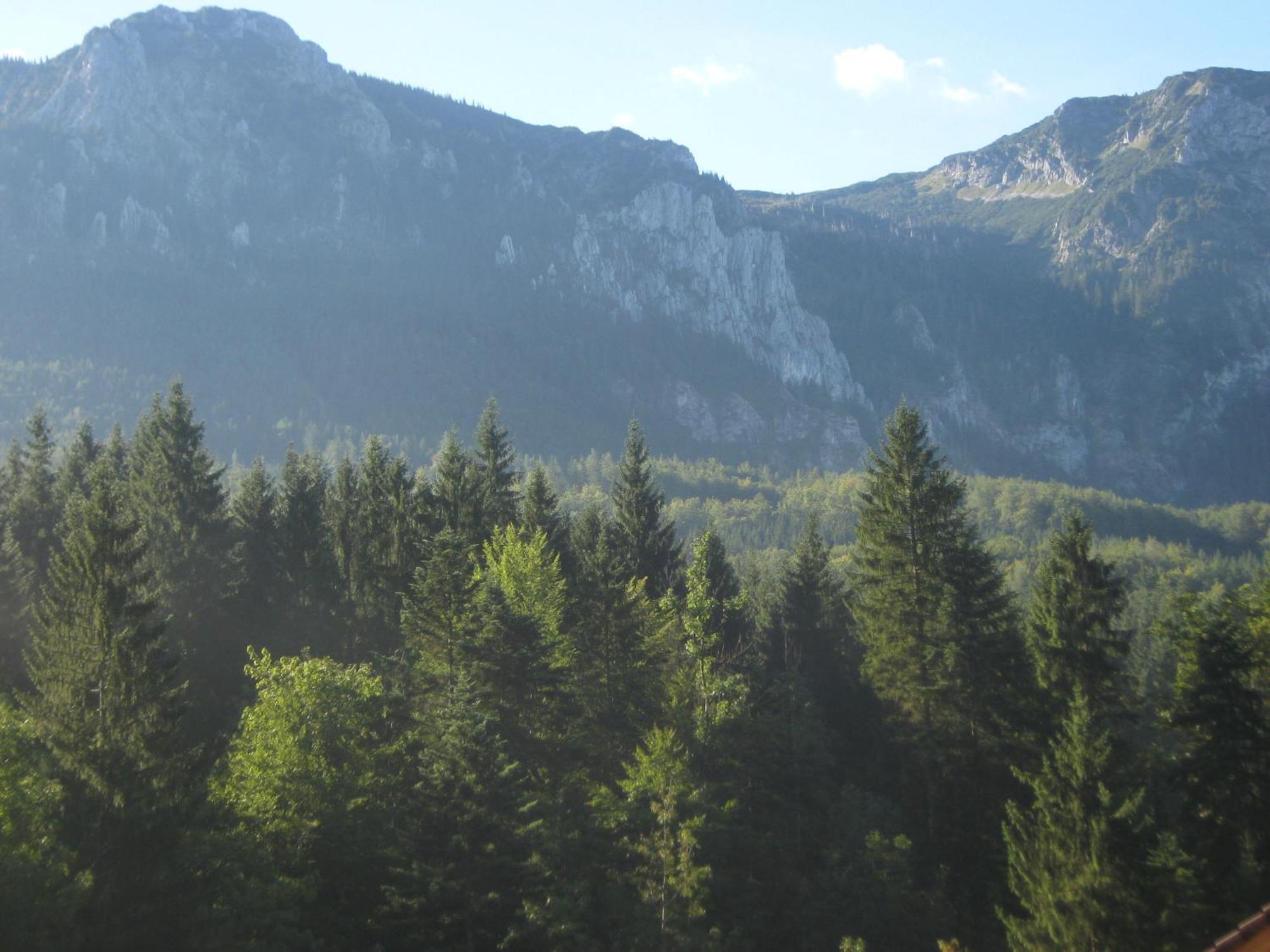 2 Sterne Kienklause Kein Wifi Wlan Keinen Handyempfang Steinbach am Attersee